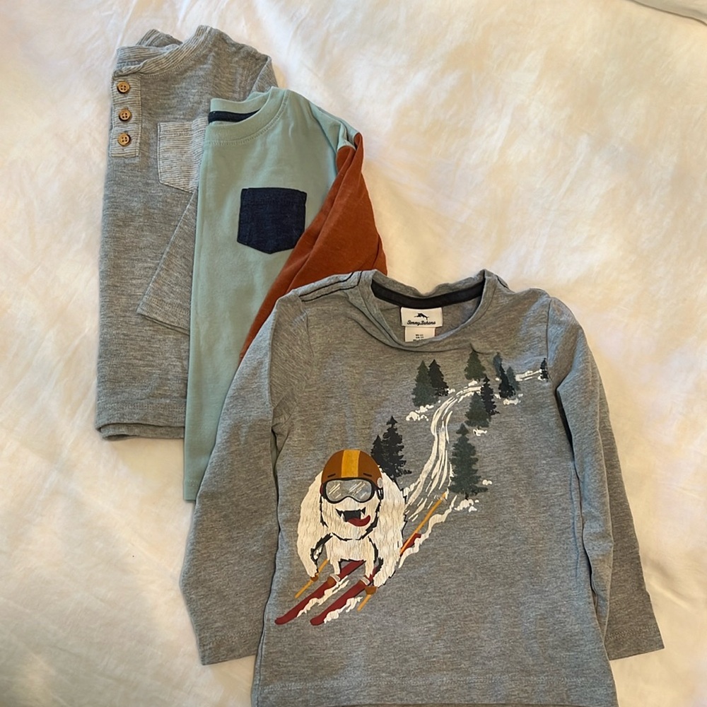 Lot of three long sleeve T-shirts, size 2T. Cat and Jack and Tommy Bahama.